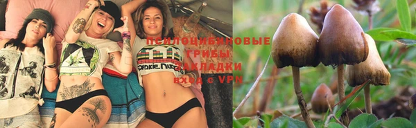 прущая мука Новозыбков