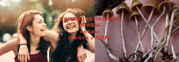 соль курить ск Новокубанск